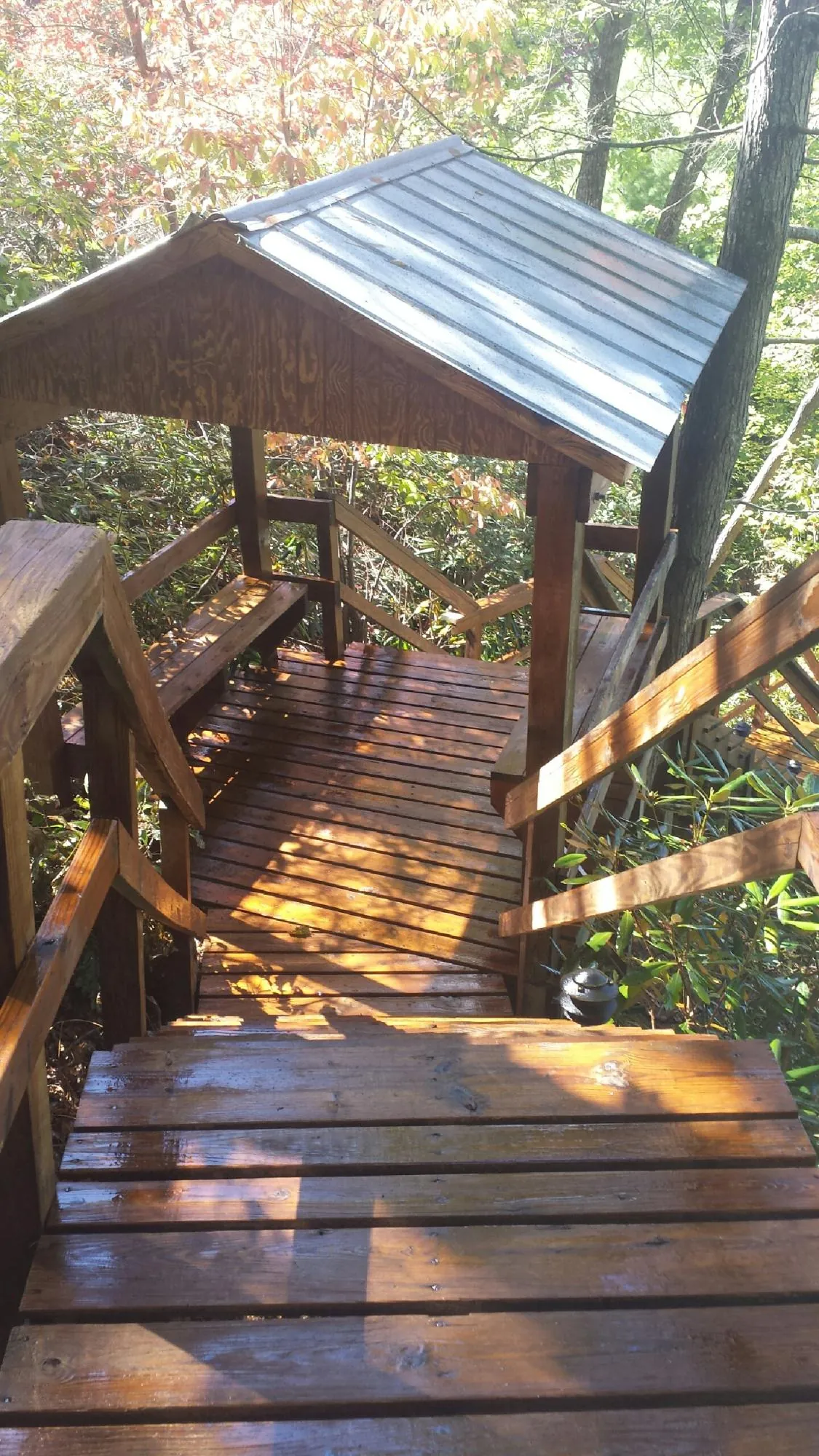 Freshly stained wood walkway and covered shelter with a metal roof in Tetonia